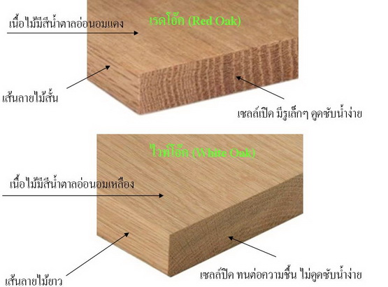 ความแตกต่างระหว่างไม้เรดโอ๊คกับไม้ไวท์โอ๊ค